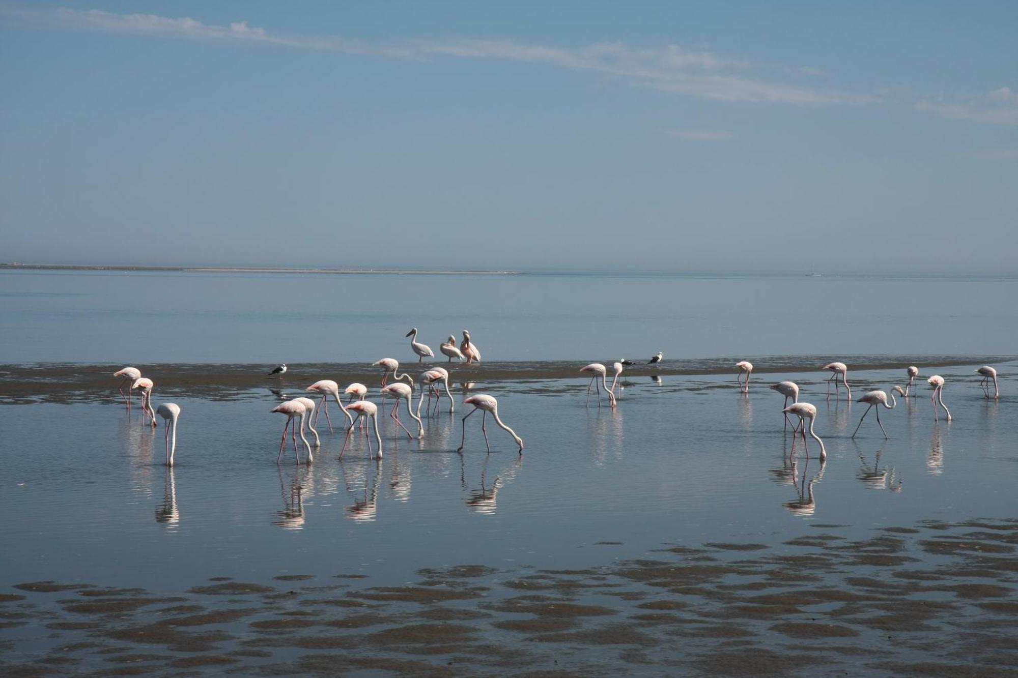 וואלביס ביי Lagoon Lodge מראה חיצוני תמונה