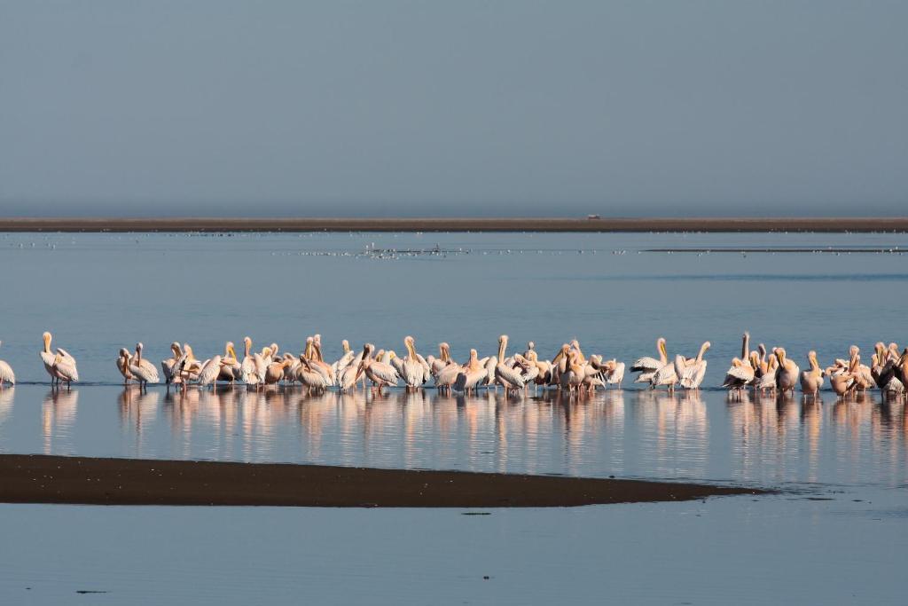 וואלביס ביי Lagoon Lodge מראה חיצוני תמונה